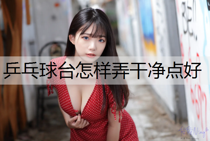 乒乓球台怎样弄干净点好